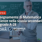 L’insegnamento di Matematica e Scienze nella scuola secondaria di I grado A-28